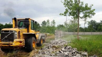اخبار پلیس مازندران| از کشف جنگلخواری ۵۰ میلیاردی تا دستگیری شکارچیان گراز