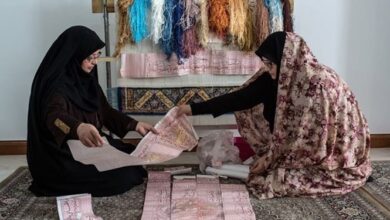 امسال 15 درصد از کل اشتغال ایجادی از محل مشاغل خانگی خواهد بود