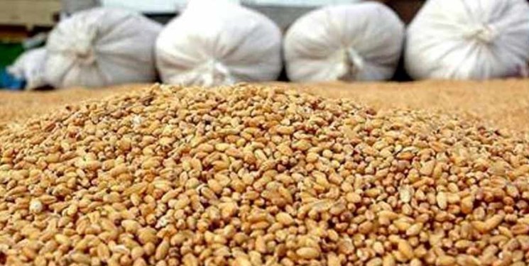 دستگیری عوامل شبکه سازمان یافته سودجو نهادههای دامی در اردبیل