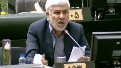 سلیمی: وزارت جهاد کشاورزی مشکلات باغداران سیب درختی را رفع کند