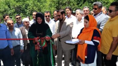 شرکتهای تعاونی قالیبافی راهاندازی شود