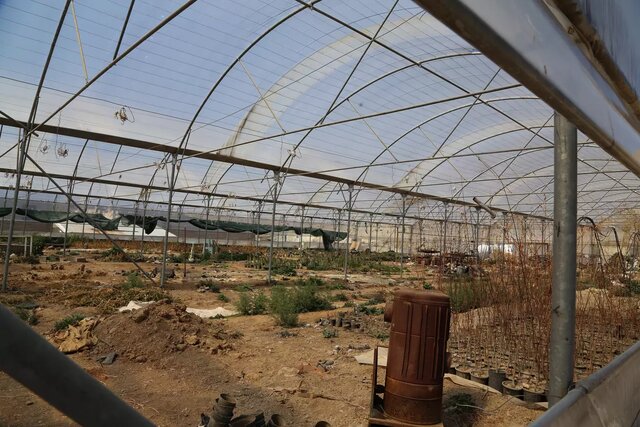 نفسهای آخر بزرگترین شهرک گلخانهای البرز!