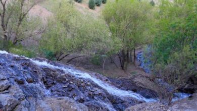 پایگاه امداد جنگلها در کامفیروز فارس راهاندازی میشود