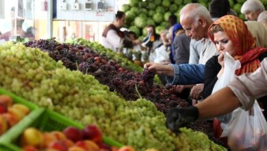 پیشبینی کاهش تا 40 درصدی قیمت میوه در بوشهر