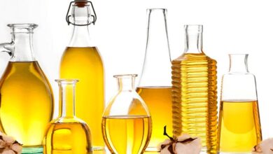 کشت دیم کاملینا ضرورتی برای افزایش تولید دانههای روغنی در کشور