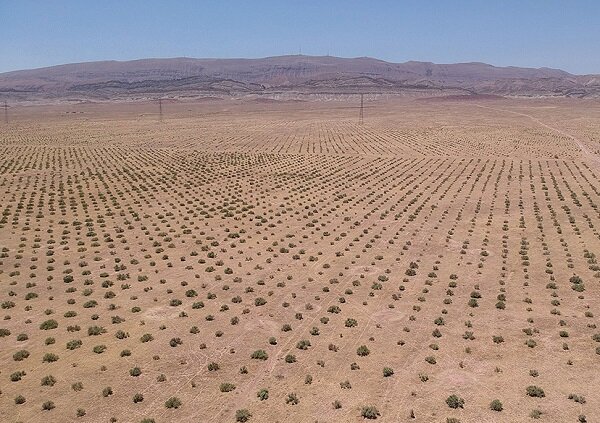 گسترش عرصه های بیابانی با کاهش سطح مراتع کشور