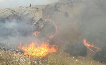 آتشسوزی، بیش از ۲ میلیارد تومان به نخلستانها و باغهای سیاهو خسارت وارد کرد