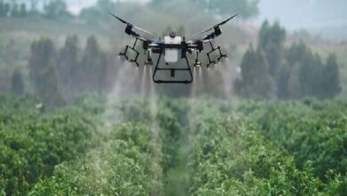 آخرین مهلت ثبتنام ایدهها در رویداد «دوشنبههای استارتآپی» حوزه کشاورزی