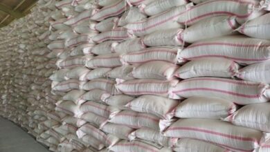 اختصاص ۳۱ هزار کیسه آرد سهمیه فوقالعاده به مازندران