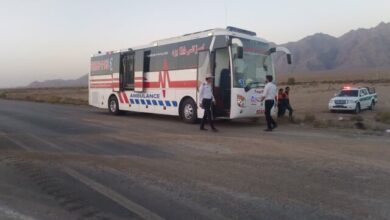 استفاده از ظرفیت اتوبوسهای ترکیه و پاکستان برای سفرهای اربعین