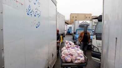 افزایش قیمت مرغ و خرید و فروش در کوچه پسکوچههای اطراف میدان بهمن