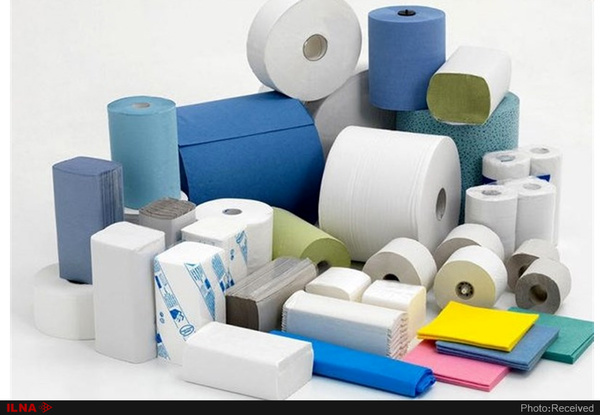 افزایش ۲۰ درصدی قیمت محصولات سلولزی/ تولیدکنندگان به امید قیمت املاک کارخانهها زنده ماندهاند/ بازار وارد رکود حداقل ۳ ساله میشود