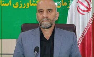 افزایش ۸۲ درصدی خرید گندم مازاد کشاورزان لرستانی