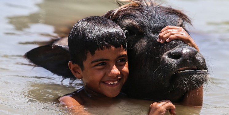 باران در شمال غرب کشور و خرماپزان در اهواز