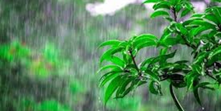 بارشهای نرمال پاییزی در راه است
