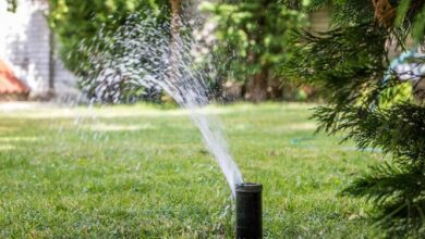 بازرس کل لرستان: با پیمانکاران متخلف فضای سبز برخورد جدی میشود