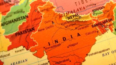 بزودی شرایط تهاتر با پاکستان نهایی میشود/ مشکلات صادرات کیوی به هند برطرف شد