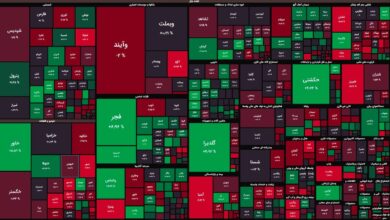 تصمیمات دولتی دوباره بازار سهام را به هم ریخت/ رشد شاخصهای بورسی در فضای ترس