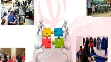 تعاونیها چند درصد اقتصاد را اداره میکنند؟