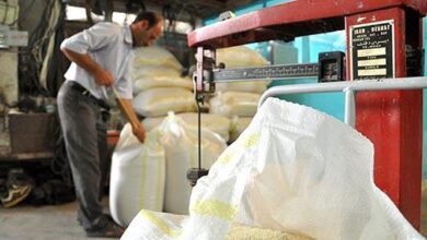 خرید برنج مازاد کشاورزان از فردا آغازمیشود