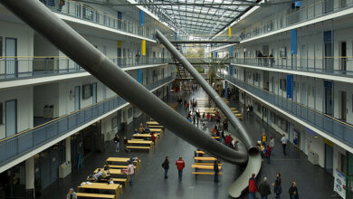 دانشگاههای انگلیسی در صدر برترینهای حوزه اشتغال ۲۰۲۴