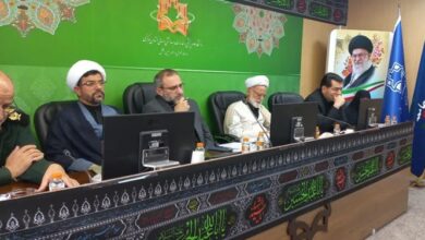 دری نجفآبادی: در مسئله «فرزند کمتر» دچار ضربه سختی شدیم