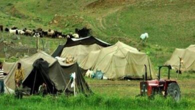 رئیس سازمان عشایر کشور: ۷۰ هزار سرپناه در مناطق عشایری ساخته میشود