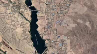 روایت 1800 هکتار زمینخواری در فشافویه به اسم تأمین امنیت غذایی