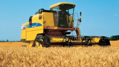 رکوردزنی صادرات غلات روسیه باوجود تحریمها