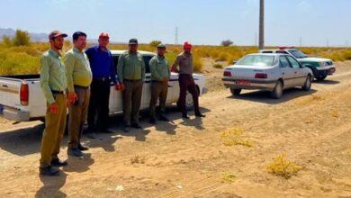 زمینخواری ۱۶۰ هکتاری در حاجی آباد هرمزگان رفع تصرف شد