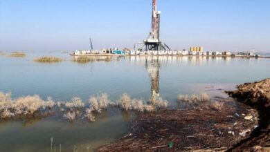 سرعت در میادین مشترک نفت و گاز حرف اول را میزند/ قطر به پارسجنوبی مدیون است/ هم تکنولوژی نیاز داریم و هم پول