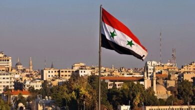 سوریه: انواع محصولات کشاورزی را به چین و اروپا صادر میکنیم