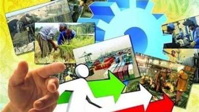 صدور مجوز برای ۳۲ خدمت مورد نیاز حوزه کسبوکار حوزه صمت استان بوشهر