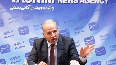 عضویت ایران در پیمان شانگهای در کوتاهمدت معجزه نمیکند