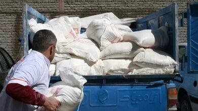 فارس من| مطالبه حذف آرد یارانهای برای توقف قاچاق و پرداخت یارانه نان به مردم