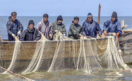 فعالیت بیش از ۲۲۰۰ تعاونی صیادی و آبزیپروری در کشور