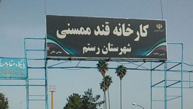 قند ممسنی ۵۷ ساله؛ قربانی خصوصیسازی که هنوز قد راست نکرده است+ فیلم