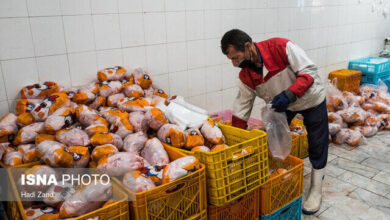 قیمت مرغ در بازار گیلان کاهش می یابد