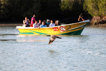 هرمزگان به قطب گردشگری تلفیقی هوایی-دریایی تبدیل میشود