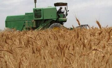 هزار و۲۱۰میلیارد ریال از مطالبات گندمکاران قزوینی پرداخت شد