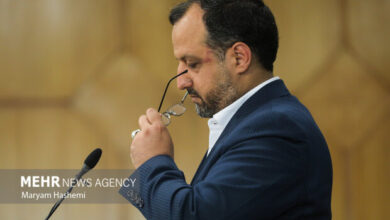 واکنش وزارت اقتصاد به شایعه حمایت خاندوزی از سلاحورزی