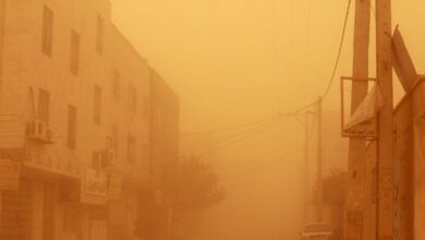 وزش باد بسیار شدید و طوفان شن در نوار شرقی کشور