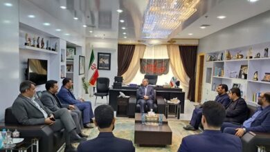 وعده معاون وزیر ارشاد برای تکمیل پروژههای فرهنگی خراسان جنوبی تا پایان دولت