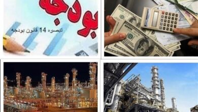 پایان رانت گاز مفت/ اقدام مهم دولت برای واقعی سازی نرخ خوراک و افزایش بهره وری پتروشیمیها + جدول