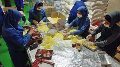 پرداخت بیش از ۳۰ هزار میلیارد تومان تسهیلات به شرکت های تعاونی