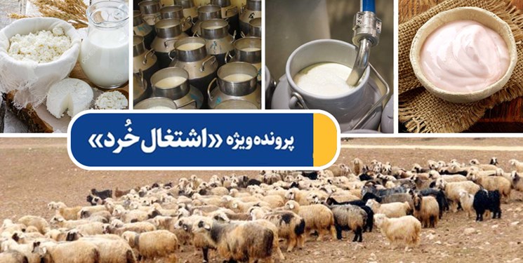 پرونده ویژه «اشتغال خُرد»| ماست پرچرب آقای سرمایهگذار برای روستائیان