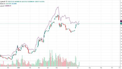 چرا رشد درآمد فروش این صنعت توان مقابله با شاخص را نداشت؟/ گزارش ماهانه عملکرد صنعت کانیهای فلزی