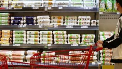 کام مصرفکنندگان کره جنوبی شیرین شد