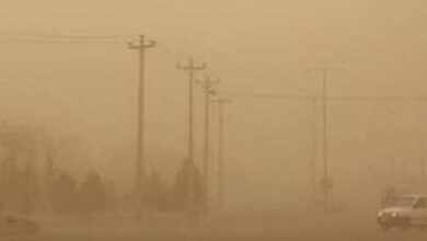 گرد و خاک دید رانندگان در جادههای شمالی خراسان رضوی را محدود کرد