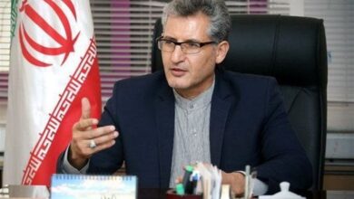 “گلکوچک” در محلات احیا شد